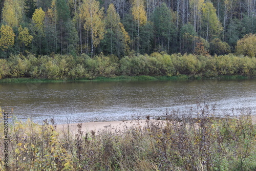 autumn colors on the water surface of the river