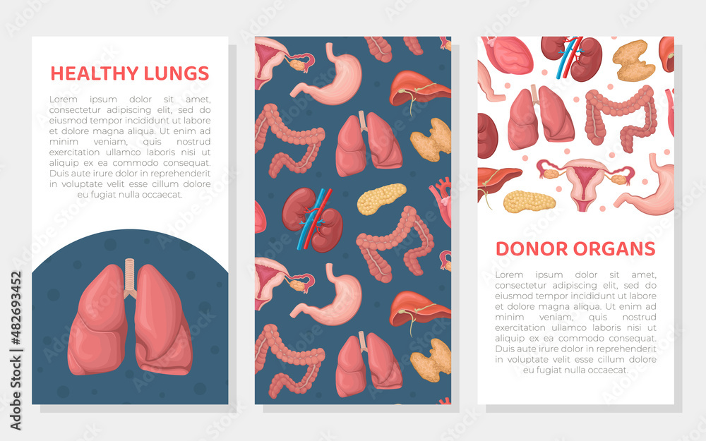 Donor organs banner template. Transplantatology, human anatomy medical brochure, cover, card with tex