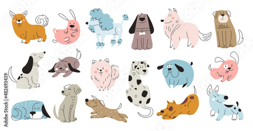 Set of different doodle dogs. Colorful bunch of stickers with cute fluffy puppies in different poses. Funny animals with smiling faces. Cartoon flat vector collection isolated on white background