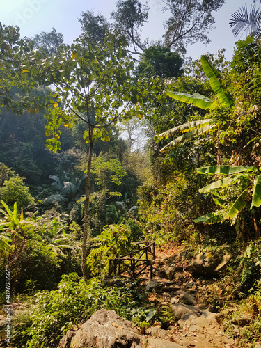 Walking track in the tropical rainforest of Tat Mok National Park, province of Phetchabun, Thailand