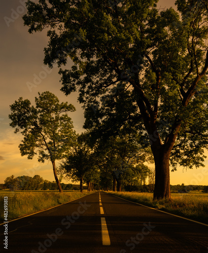 Die Straße nach Nirgendwo 