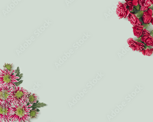 Purple and red flowers arranged on a pastel green background. Spring floral minimal flat lay.
