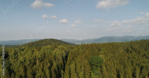Beautiful View of Forest and Fields Aerial