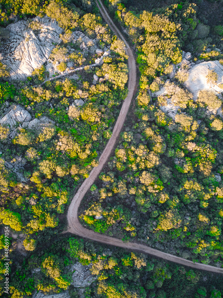 Fototapeta premium Aerial drone view of forest landscape, yellow trees, rocks and country curved road at sunset
