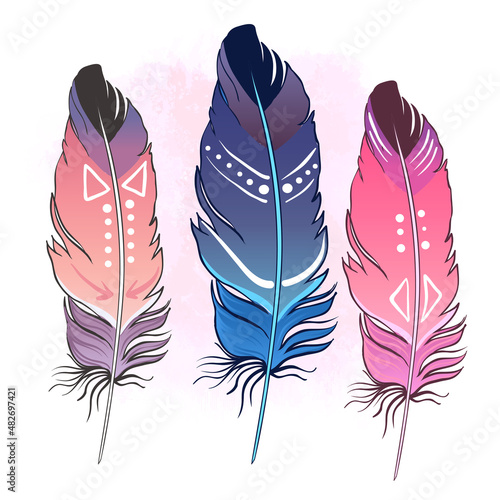 Hand drawn vector painted bird feathers isolated on white background. Colorfu...