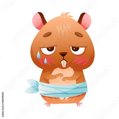 Sick baby animal. Sad crying hamster with bandage on its stomach suffering from stomachache cartoon vector illustration