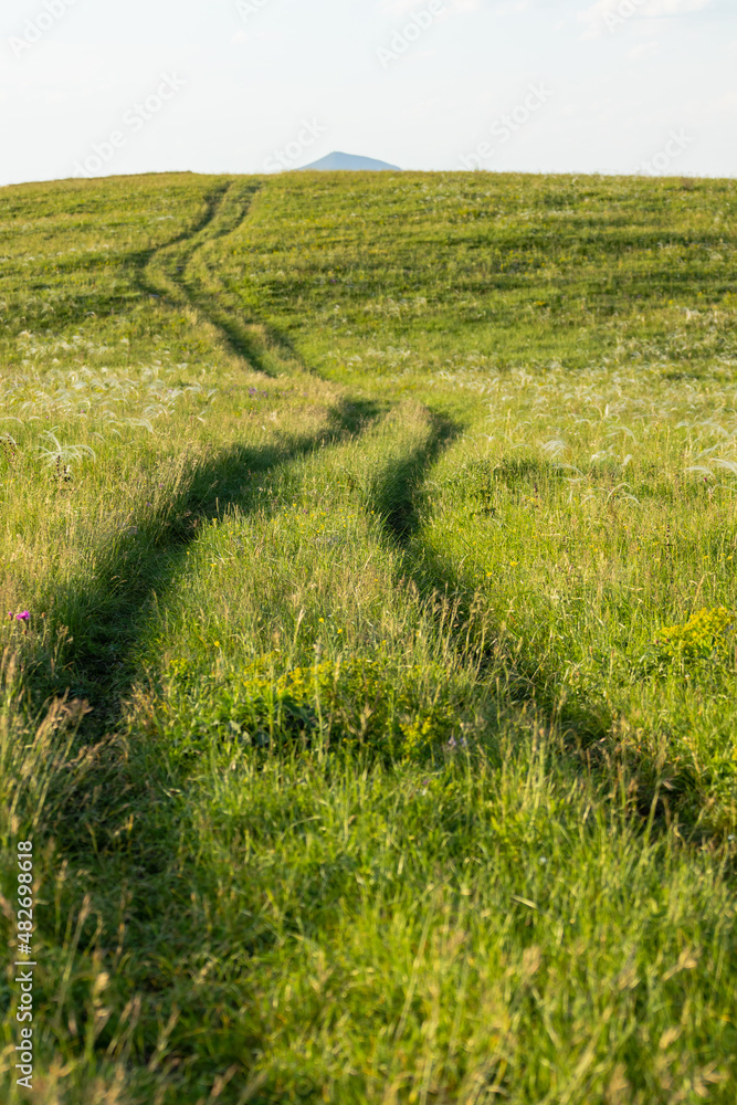 Footpath in the grass in the mountains on a hill