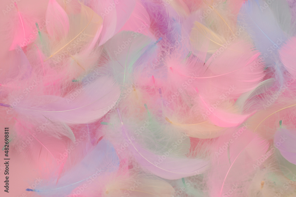 Beautiful romantic background of colorful bird feathers in pink, white, blue, purple, green colors Beautiful romantic background of colorful bird feathers in pink, white, blue, purple, green colors