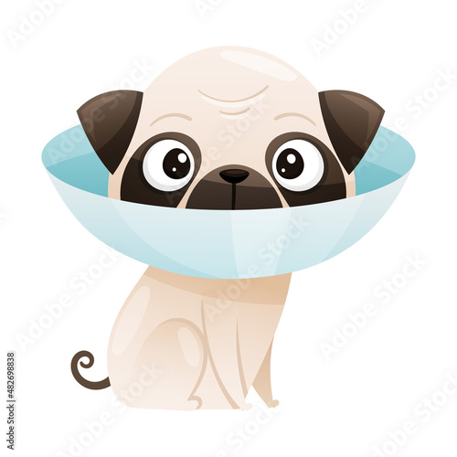 Sick puppy with protective veterinary collar cartoon vector illustration