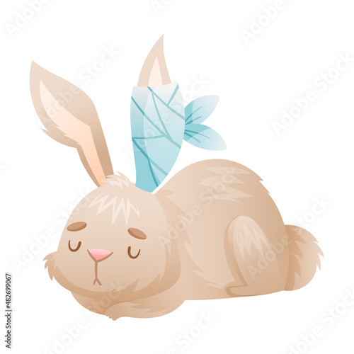 Sick cat rabbit animal. Sad bunny with bandage on its ear cartoon vector illustration