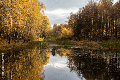 Pond in the park in Moscow