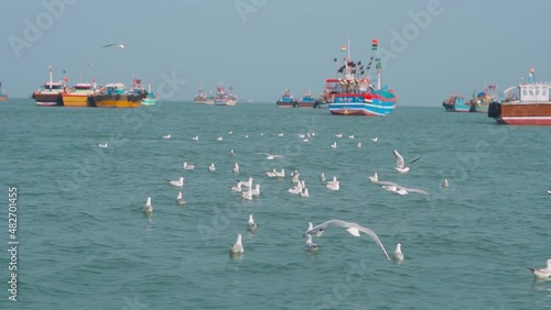 Seagulls floating and flying over ocean and boats on the way to Bet Dwarka island from Okha Port at Arabian sea in Okha, Gujarat, India photo