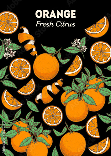 Orange fruit hand drawn package design. Orange tree frame template. Vector illustration. Menu design, brochure illustration. Colorful design. Citrus pattern illustration. Can used for packaging design