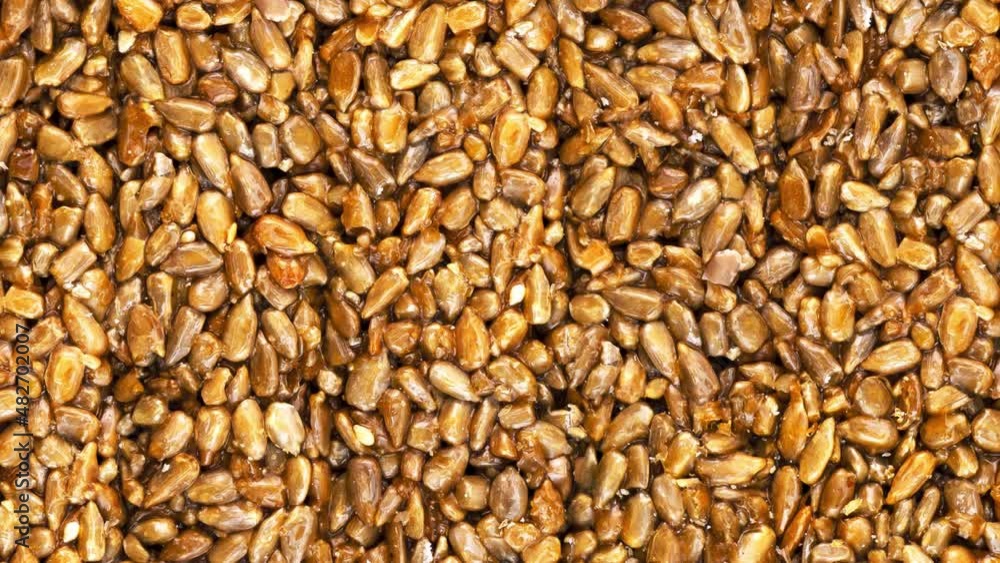 Moving up sunflower seeds in honey. Kozinaki. Moving up sunflower seeds in honey. Kozinaki.