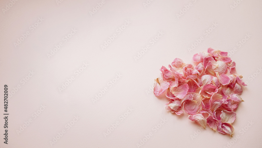 heart of rose petals on a pink background, Gossamer Pink