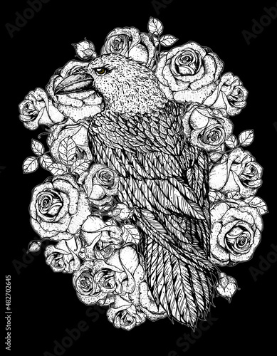 Raven and roses flowers hand drawn illustration. Tattoo vintage print. White raven and red roses.