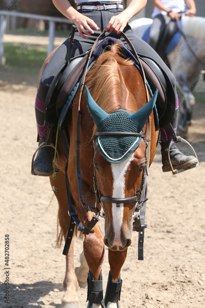 Unknown dressage rider sits on her sport horse during race Unknown dressage rider sits on her sport horse during race