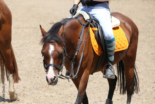 Unknown dressage rider sits on her sport horse during race © acceptfoto