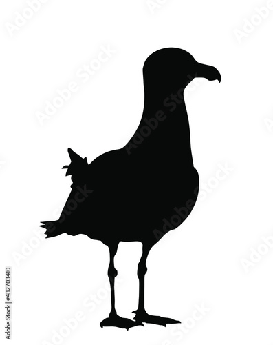 Seagull standing vector silhouette illustration isolated on white background. Sea and ocean bird. Marine bird shape symbol. Fish hunter. Gull tourist travel souvenir mascot.