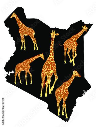 Herd of giraffe over Kenya map vector silhouette illustration isolated on white background. Safari tourist invite to explore wildlife of Kenya. Tall Animal giraffe  symbol of Africa.