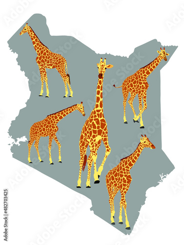 Herd of giraffe over Kenya map vector silhouette illustration isolated on white background. Safari tourist invite to explore wildlife of Kenya. Tall Animal giraffe  symbol of Africa.