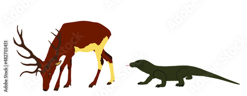 Komodo dragon hunting red deer male vector illustration isolated. Huge antlers powerful buck. Biggest lizard ambush attacks deer grazing grass. Reindeer prey for Komodo monitor. Varanus komodoensis.