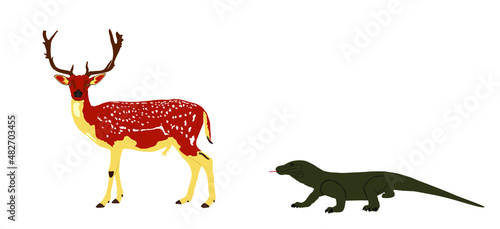 Komodo dragon hunting sika deer male vector illustration isolated. Huge antlers buck. Biggest lizard ambush attacks deer grazing grass. Reindeer prey to Komodo monitor. Varanus komodoensis. Food chain