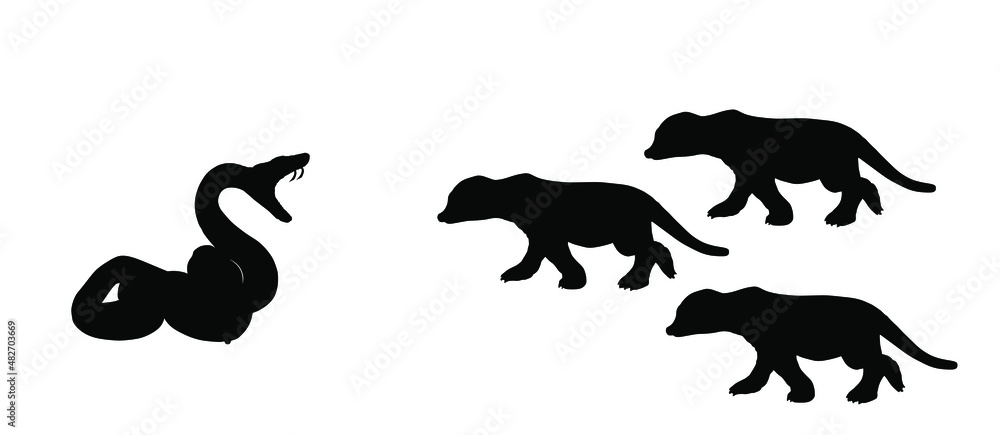 Naklejka premium Curl snake defend against mongoose meerkat family attack prey vector silhouette illustration isolated on white background. Black serpent. Poison snake shape shadow. Deadly venom predator. Danger treat