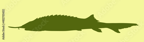 Sturgeon fish vector silhouette illustration isolated on white background. Luxury caviar food source. Premium meal from wildlife. Sturgeon shape symbol.