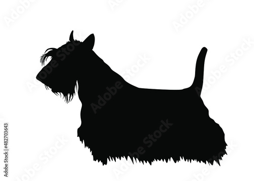 Scottish Terrier vector silhouette illustration isolated on white background. Dog shape shadow. Lovely pet. Aberdeen terrier dog silhouette.