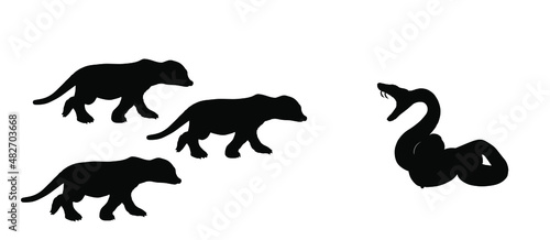 Curl snake defend against mongoose meerkat family attack prey vector silhouette illustration isolated on white background. Black serpent. Poison snake shape shadow. Deadly venom predator. Danger treat