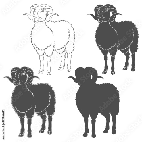 Set of black and white illustrations with ram, sheep. Isolated vector objects on a white background.