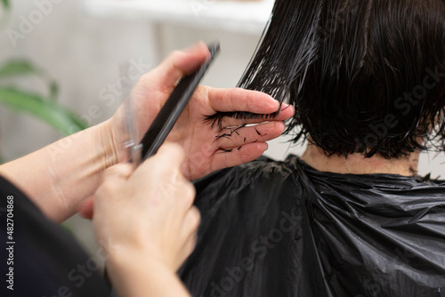 A female hairdresser cuts a client's hair in a beauty salon. Hairdresser's hands with comb, scissors and hair shown close-up. The topic of hair care. 