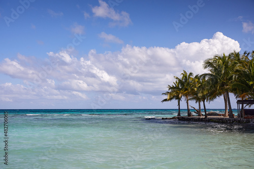 Belize, Silk Caye, Ocean and palm trees