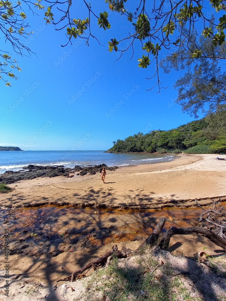 beach and sea