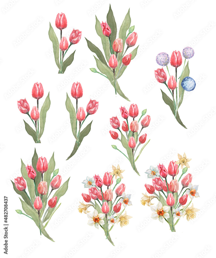 
Bouquet of flowers tulips spring holiday March 8 Women's Day Easter watercolor illustration hand drawn garden
