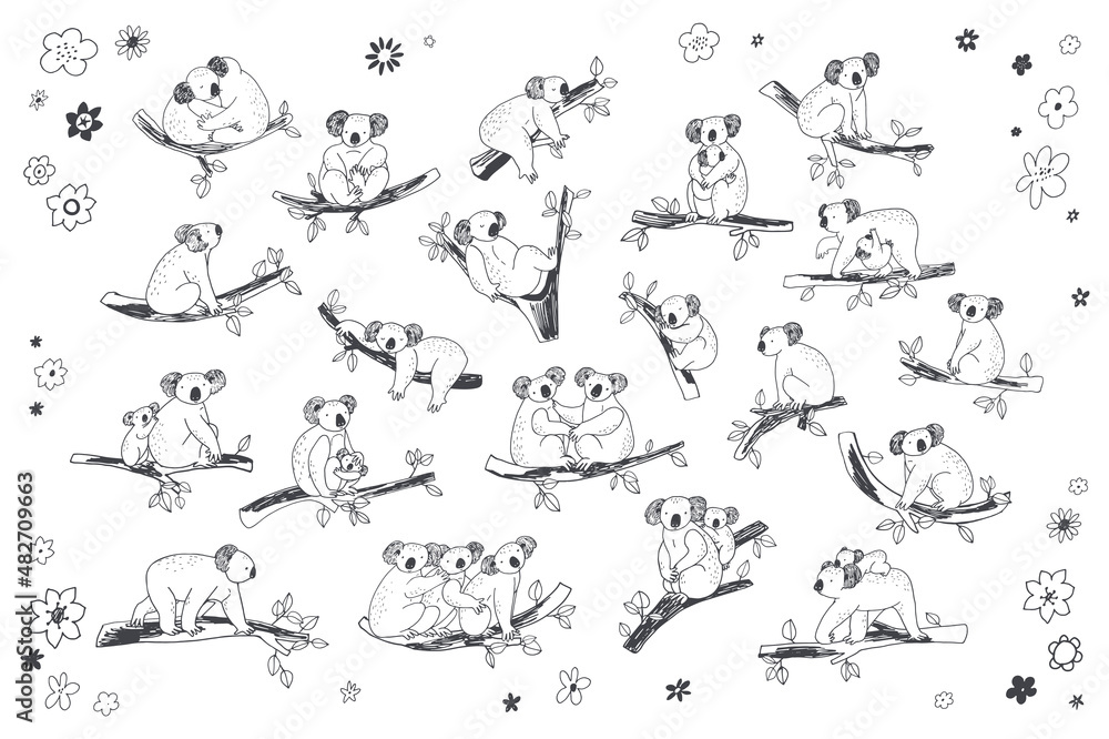 Koala animal with branches vector line illustrations set Koala animal with branches vector line illustrations set