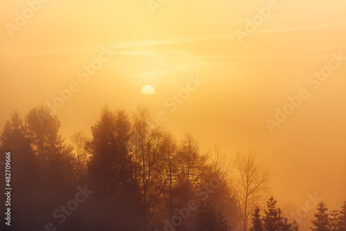 Fototapeta Naklejka Na Ścianę i Meble -  Sonnenaufgang im Nebel