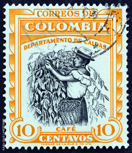 Coffee plantation, Caldas (Colombia 1956)