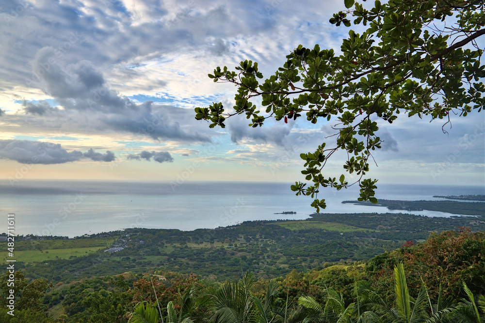 Fototapeta premium Tropical background landscape with trees and palms.