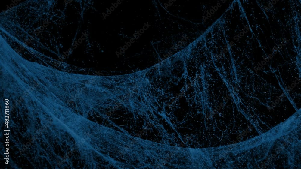 Passing Spiderwebs In Breeze At Night