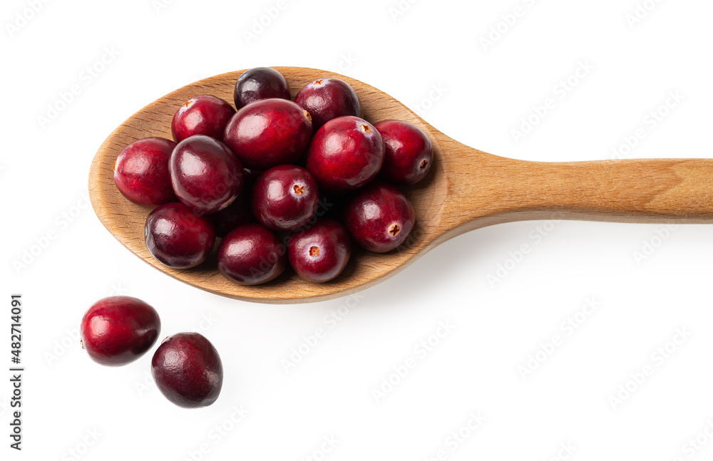 Red ripe cranberries in a wooden spoon isolated on a white background. Cropped image of spoon full of fresh organic wild berries macro. Antioxidant and vitamin healthy eating concepts.