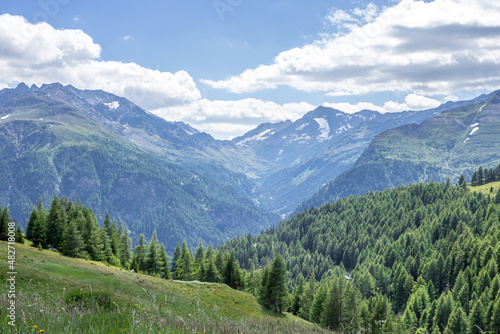 Forest in the Alps. Hiking in the mountains. Green European tourism. What do you need to reboot. Beautiful mountain landscape. Fresh forest and mountain air.