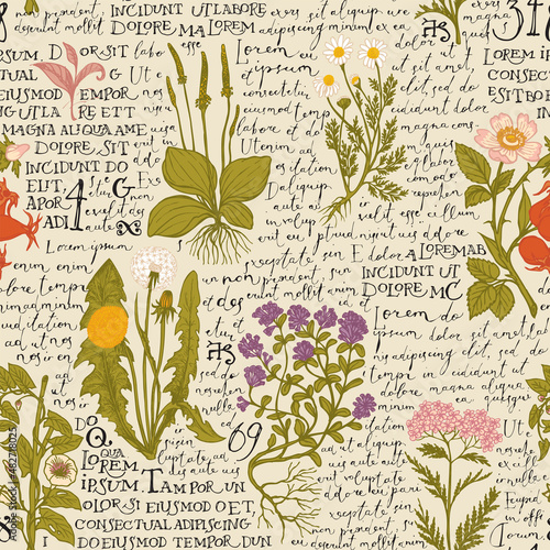 Colored seamless pattern with hand-drawn medicinal herbs and handwritten text Lorem Ipsum on an old paper. Vector background on the theme of herbal medicine. Retro wallpaper, wrapping paper or fabric