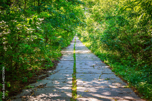 Concrete slabs in the forest. Sign or symbol of a secret military facility disguised. Road for tanks. Background photo