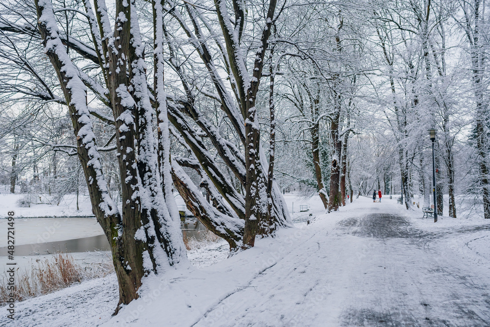 Winter Landscape. Tree Covered with Snow in Winter. Winter Landscape. Tree Covered with Snow in Winter.