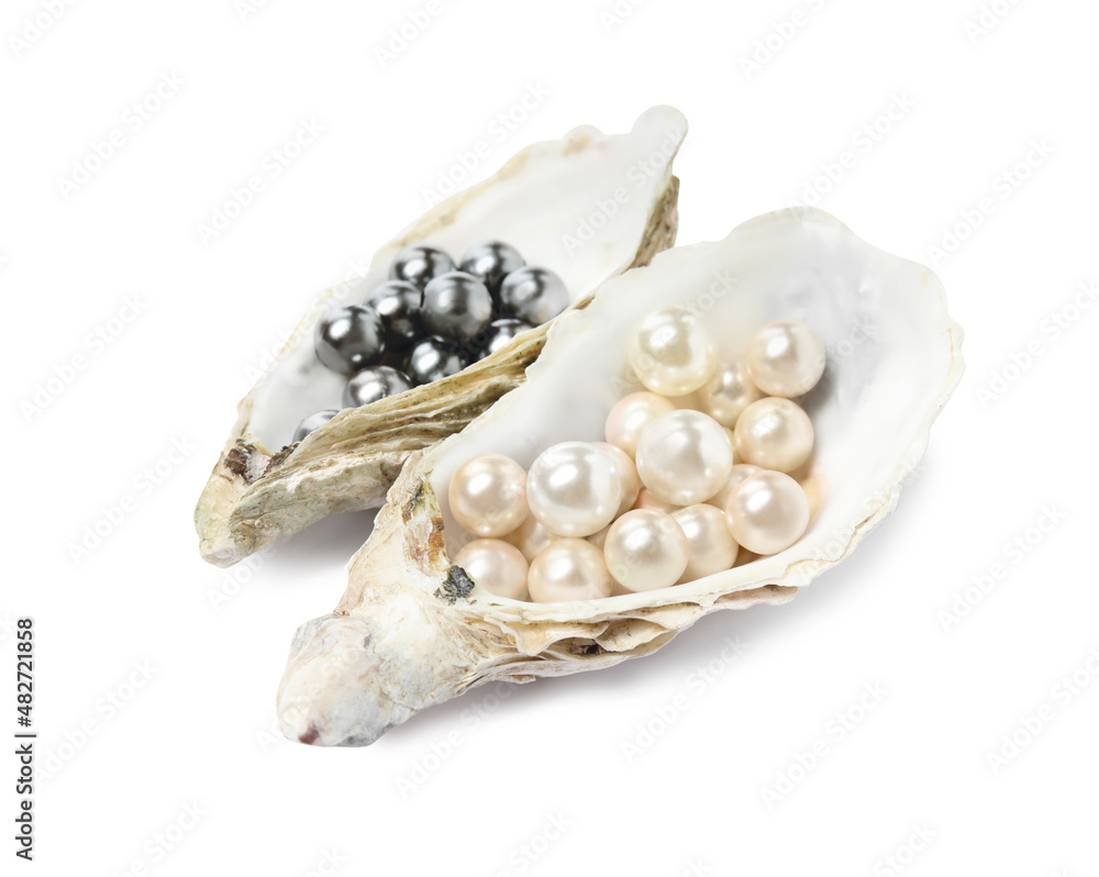 Naklejka premium Oyster shells with different pearls on white background