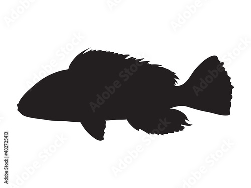 Black silhouette of a fish