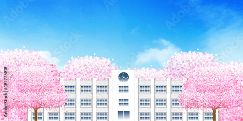 桜　学校　春　背景