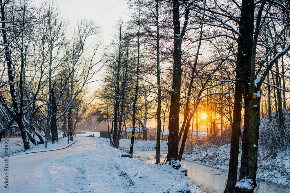 Winter Landscape. Tree Covered with Snow in Winter. Winter Landscape. Tree Covered with Snow in Winter.